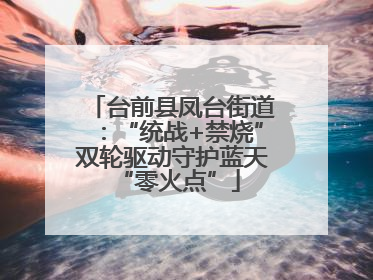 台前县凤台街道：“统战+禁烧”双轮驱动守护蓝天 “零火点”