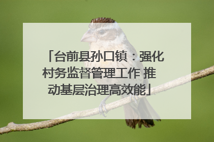 台前县孙口镇：强化村务监督管理工作 推动基层治理高效能