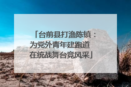台前县打渔陈镇：为党外青年建跑道 在统战舞台竞风采