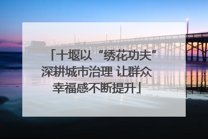 十堰以“绣花功夫”深耕城市治理 让群众幸福感不断提升