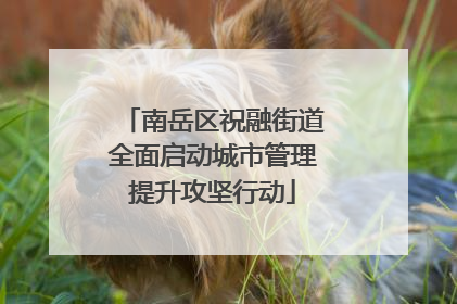 南岳区祝融街道全面启动城市管理提升攻坚行动