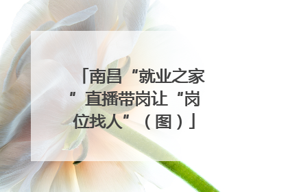 南昌“就业之家”直播带岗让“岗位找人”（图）