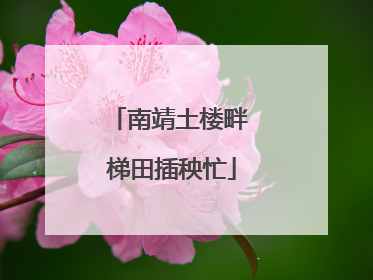 南靖土楼畔 梯田插秧忙