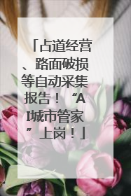 占道经营、路面破损等自动采集报告！“AI城市管家”上岗！