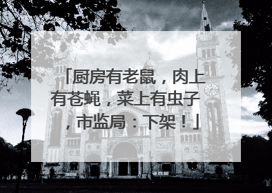 厨房有老鼠，肉上有苍蝇，菜上有虫子，市监局：下架！