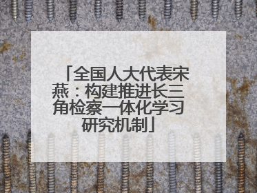 全国人大代表宋燕：构建推进长三角检察一体化学习研究机制