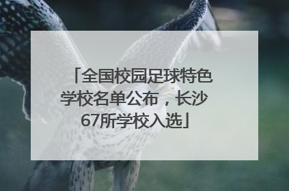 全国校园足球特色学校名单公布，长沙67所学校入选