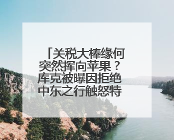 关税大棒缘何突然挥向苹果？库克被曝因拒绝中东之行触怒特朗普