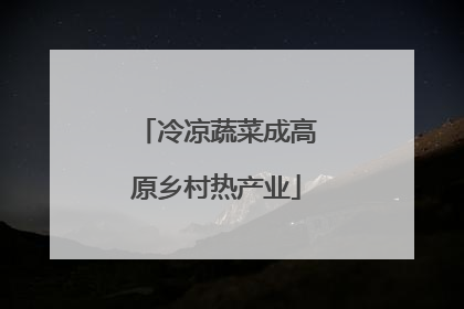 冷凉蔬菜成高原乡村热产业