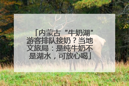 内蒙古“牛奶湖”游客排队接奶？当地文旅局：是纯牛奶不是湖水，可放心喝