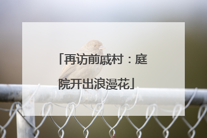 再访前戚村：庭院开出浪漫花