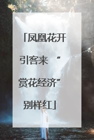 凤凰花开引客来 “赏花经济”别样红