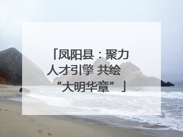 凤阳县：聚力人才引擎 共绘“大明华章”