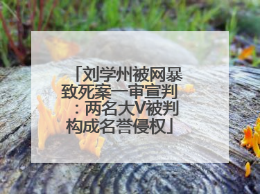 刘学州被网暴致死案一审宣判：两名大V被判构成名誉侵权