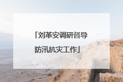 刘革安调研督导防汛抗灾工作