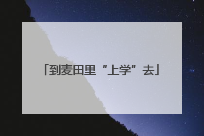 到麦田里“上学”去