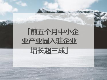 前五个月中小企业产业园入驻企业增长超三成