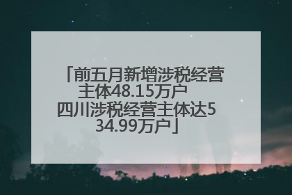 前五月新增涉税经营主体48.15万户 四川涉税经营主体达534.99万户