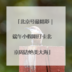 北京号最精彩｜端午小假期打卡北京周边绝美大海