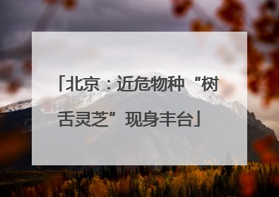 北京：近危物种“树舌灵芝”现身丰台