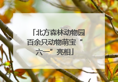 北方森林动物园百余只动物萌宝“六一”亮相