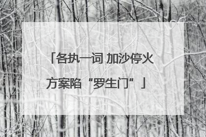 各执一词 加沙停火方案陷“罗生门”