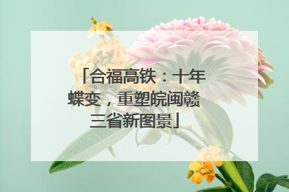 合福高铁：十年蝶变，重塑皖闽赣三省新图景