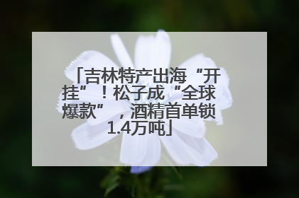 吉林特产出海“开挂”！松子成“全球爆款”，酒精首单锁1.4万吨