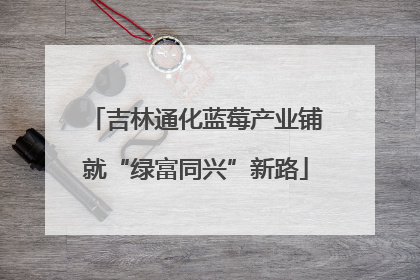吉林通化蓝莓产业铺就“绿富同兴”新路