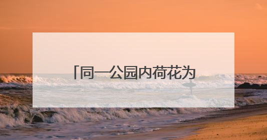 同一公园内荷花为何不同时盛开 业内人士：受多因素影响 属正常现象