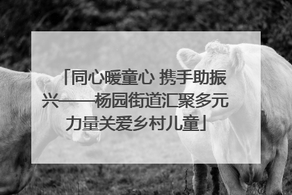 同心暖童心 携手助振兴——杨园街道汇聚多元力量关爱乡村儿童