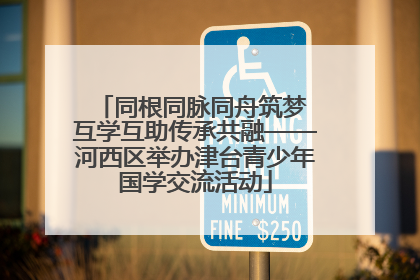 同根同脉同舟筑梦 互学互助传承共融——河西区举办津台青少年国学交流活动