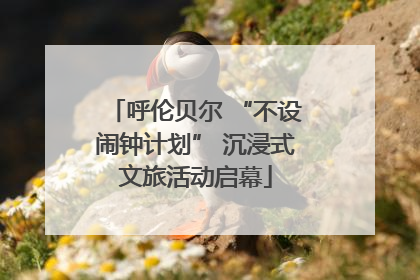 呼伦贝尔 “不设闹钟计划” 沉浸式文旅活动启幕