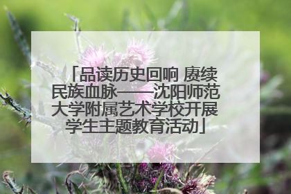 品读历史回响 赓续民族血脉——沈阳师范大学附属艺术学校开展学生主题教育活动