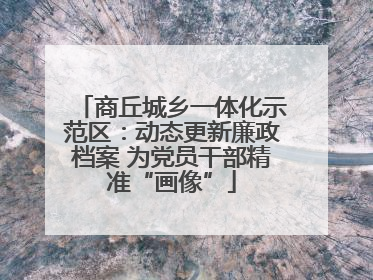 商丘城乡一体化示范区：动态更新廉政档案 为党员干部精准“画像”
