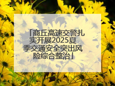 商丘高速交警扎实开展2025夏季交通安全突出风险综合整治