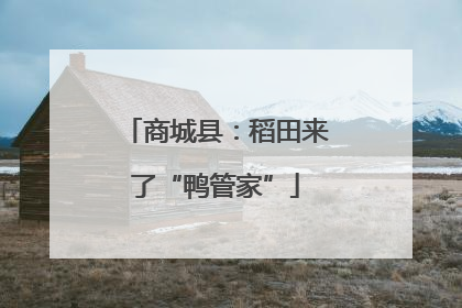 商城县：稻田来了“鸭管家”