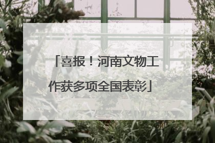 喜报！河南文物工作获多项全国表彰