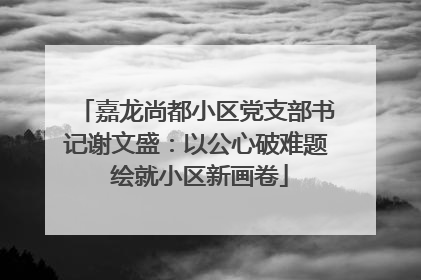 嘉龙尚都小区党支部书记谢文盛：以公心破难题 绘就小区新画卷