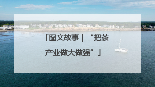 图文故事｜“把茶产业做大做强”