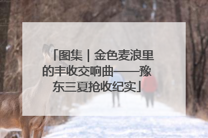 图集｜金色麦浪里的丰收交响曲——豫东三夏抢收纪实