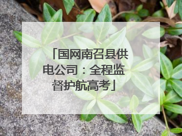 国网南召县供电公司：全程监督护航高考
