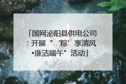 国网泌阳县供电公司：开展“‘粽’享清风 •廉洁端午”活动