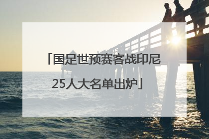 国足世预赛客战印尼25人大名单出炉