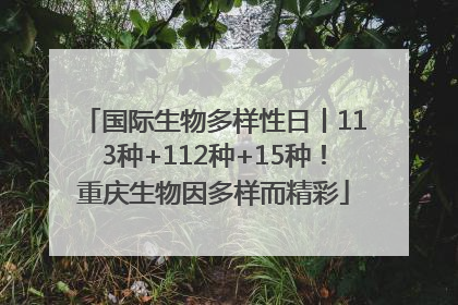 国际生物多样性日丨113种+112种+15种！重庆生物因多样而精彩