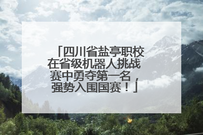 四川省盐亭职校在省级机器人挑战赛中勇夺第一名，强势入围国赛！
