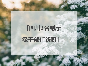 四川3名副厅级干部任新职
