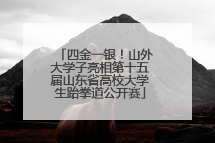 四金一银！山外大学子亮相第十五届山东省高校大学生跆拳道公开赛