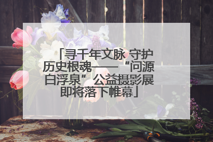 寻千年文脉 守护历史根魂——“问源白浮泉”公益摄影展即将落下帷幕