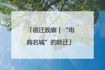 宿迁观察｜“电商名城”的跃迁